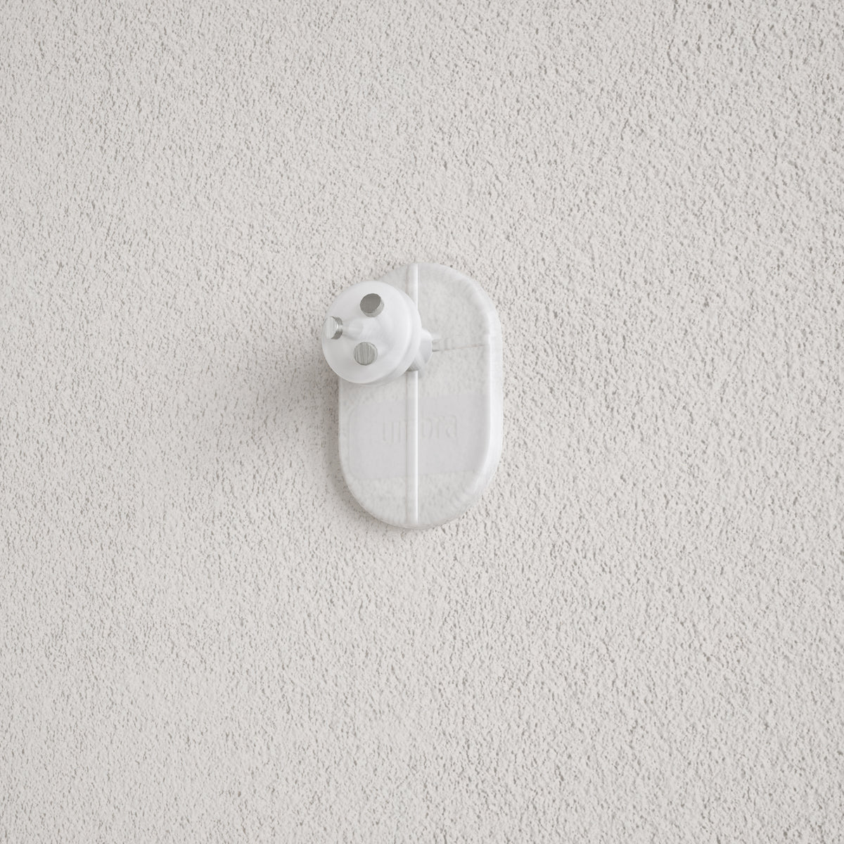 バディ ピンポイントフック 3pcs スケルトン